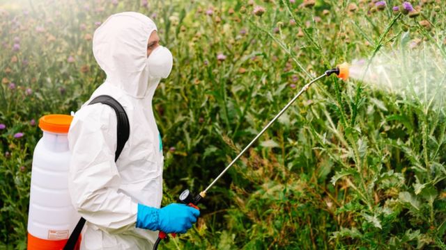 கிளைபொசேட் (Glyphosate)