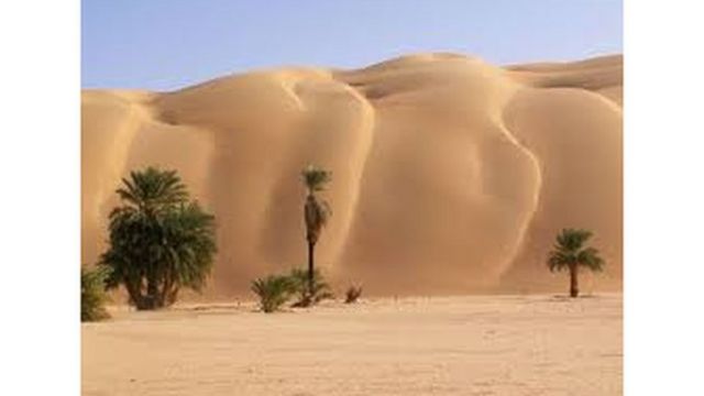 Dunes de sable du désert de la Mauritanie