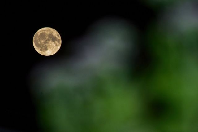 What is the Full Buck Moon?