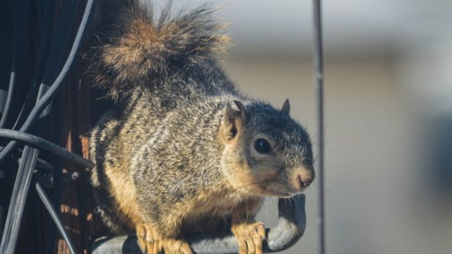 ஆந்திரா விபத்து