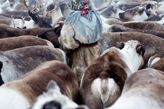 Mlade Nenkinje, Siberija, Rusija