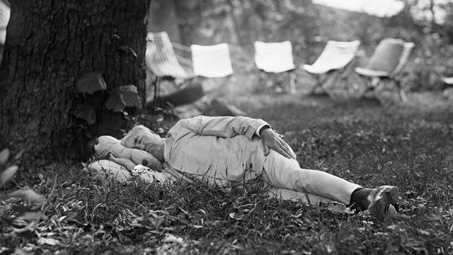 Thomas Edison dormindo debaixo de uma árvore