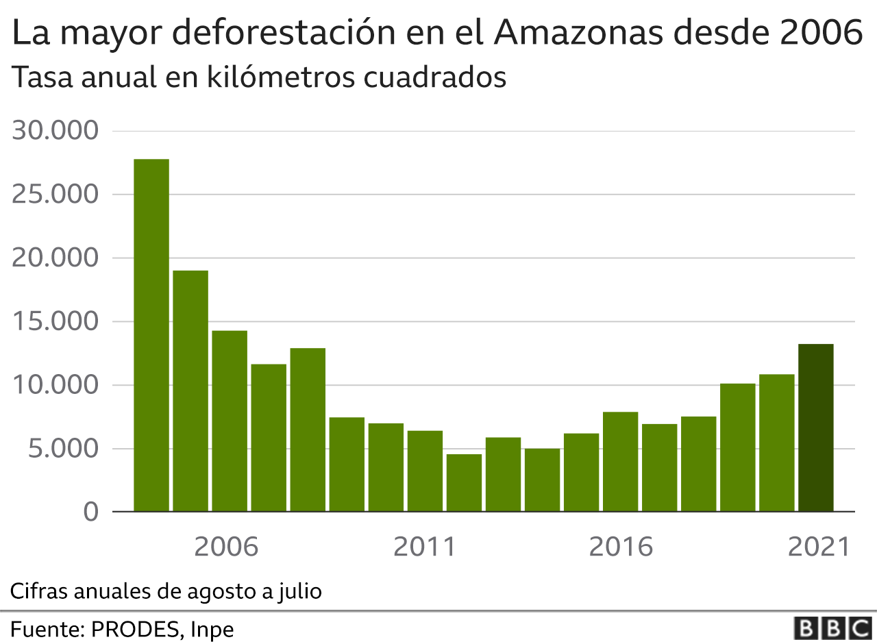 Gráfico que muestra las crecientes tendencias de deforestación en la Amazonía.