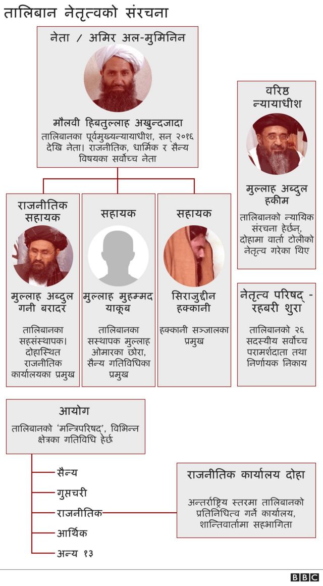 तालिबानको संरचना