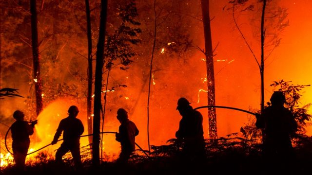 Bomberos frente a las llamas en un incendio forestal