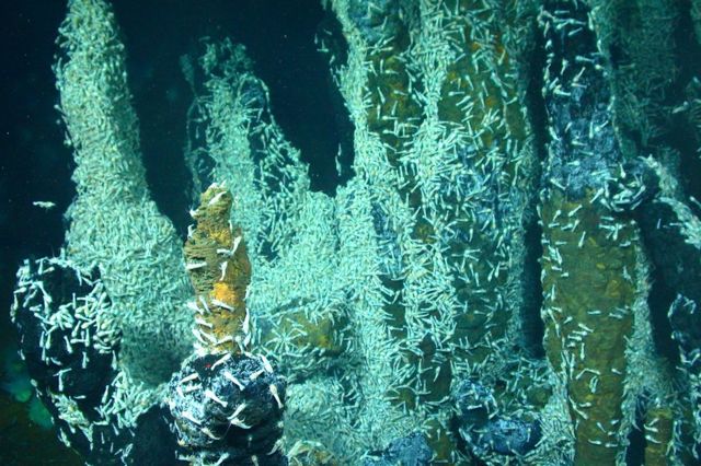 地球では熱水噴出孔の近くに存在する微生物がより複雑な生物の生育を助けている