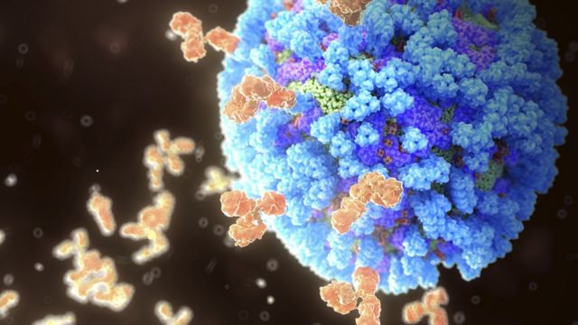 இன்புளுயன்சா