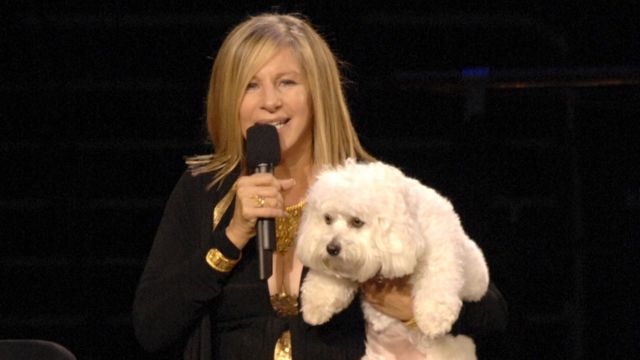 American singer Barbra Streisand with her ex-dog Samantha in 2006