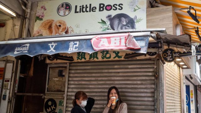 متجر الحيوانات الأليفة "ليتل بوس" المغلق في هونغ كونغ