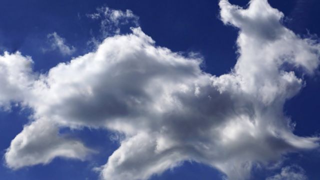 تكوين من السحب يبدو كصورة كلب