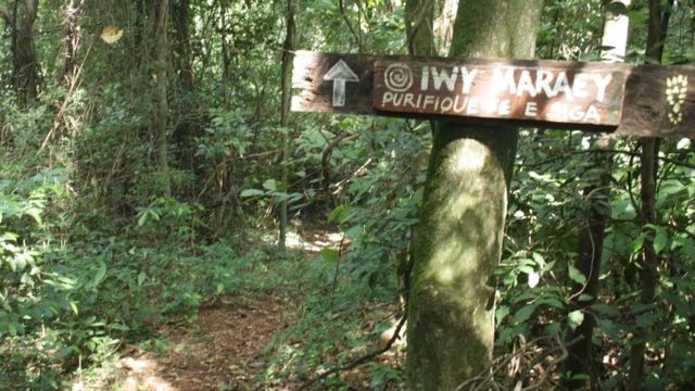 Recorrido de misterio por un bosque para conocer historias de