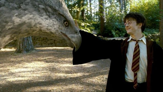 Anticuado Bienes Antología Los mitos e historias populares detrás de las criaturas fantásticas de  Harry Potter - BBC News Mundo