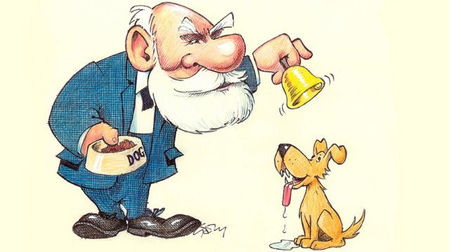Pvlov sujeta comida de perro y una campana ante un perro, que segrega saliva cada vez que toca la campana porque lo asocia con la comida. - BBC News Mundo