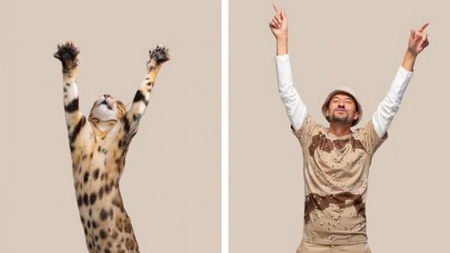cat stretching and man dancing with arms up