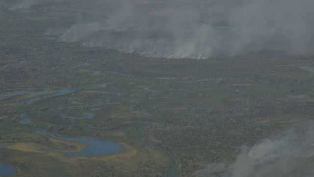 Fogo toma conta de área verde do Pantanal