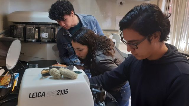 Jóvenes trabajando en el laboratorio que dirige Robles-Espinoza