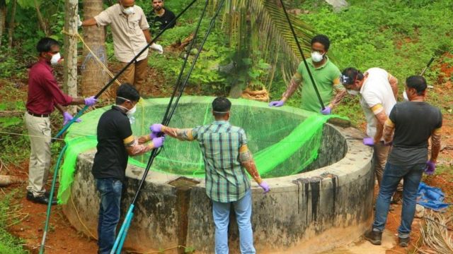 கோழிக்கோட்டில் பழந்தின்னி வௌவால்கள் இருக்கும் கிணற்றை ஆய்வு செய்யும் கால்நடைத்துறை அதிகாரிகள்