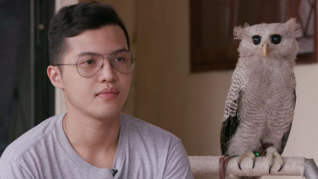 burung hantu