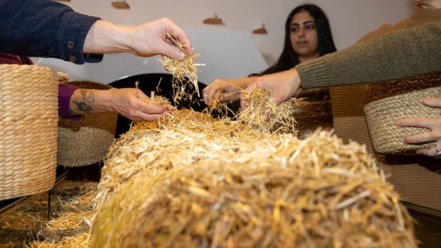 Straw and wood chips are used in the human composting process.