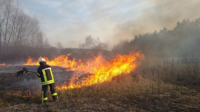 Кожної весни я задихаюся": в Україні знову горять ліси, поля та очерети - BBC News Україна