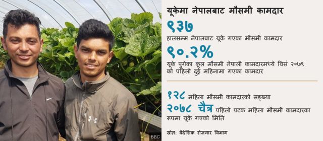 तथ्याङ्कमा यूके गएका कामदार