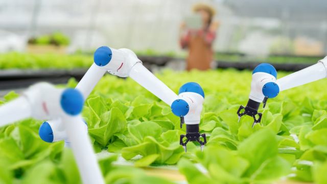 tarımda kullanılan robotlar