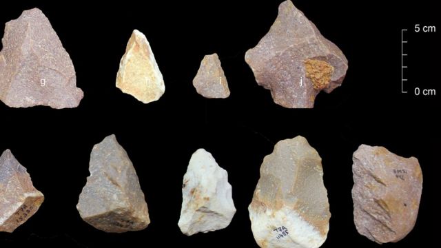 அதிரம்பாக்கம் தொல்லியல் மேடு