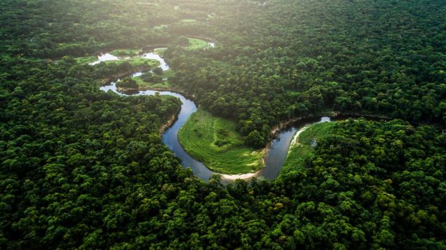 Rio em meio a floresta amazônia visto de cima