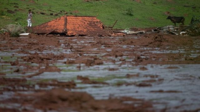 A lone man and a cow are seen by a submerged house after a dam collapse in Minas Gerais, Brazil. Photo: January 2019