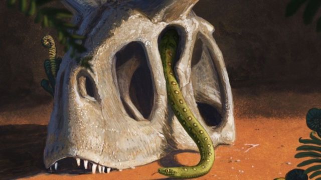 La pintura muestra una serpiente en un hueso de dinosaurio.