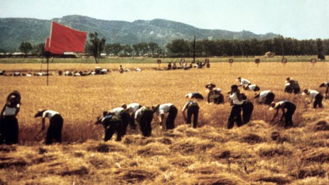 Brigada agrícola en 1971