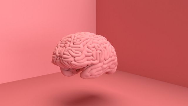 cervello