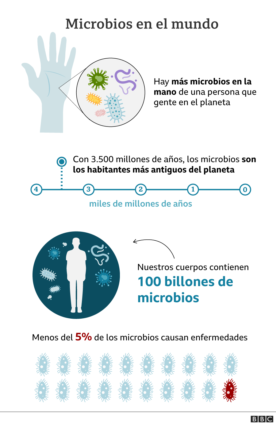 gráfico bacterias