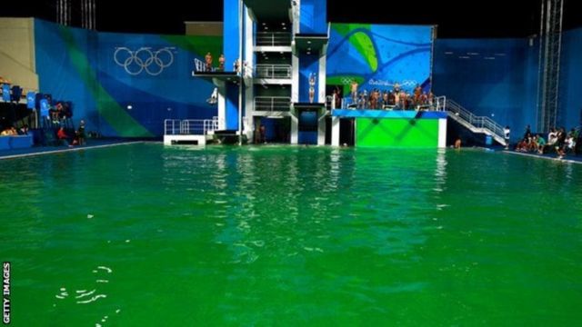 Вода в бассейне позеленела всего за одну ночь
