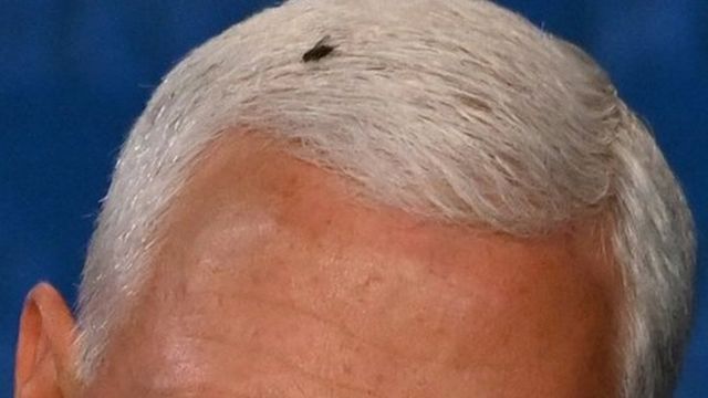 A fly on Mike Pence's head