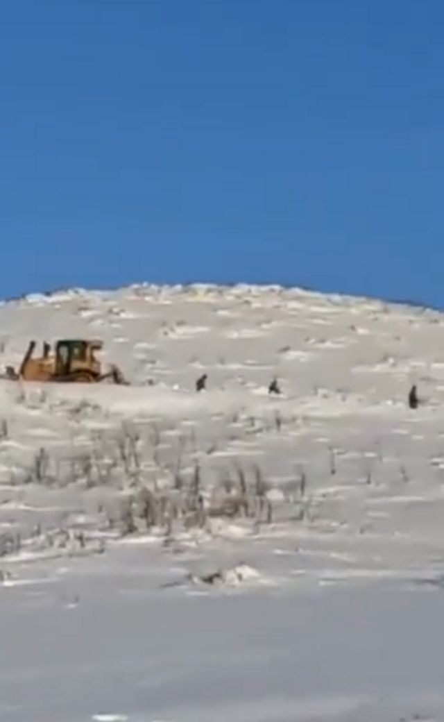 Rusiya Dağlıq Qarabağ Münaqişəsi Rusiya sülhməramlıları Xocalı Əsgəran Azərbaycan əsgərləri