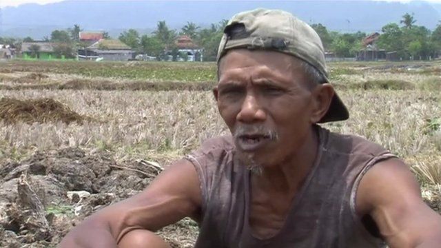 Indonesian rice farmer