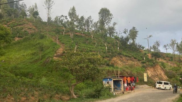 இலங்கையில் முற்றும் நெருக்கடி: மலையகத் தொழிலாளர்களின் நிலை என்ன?