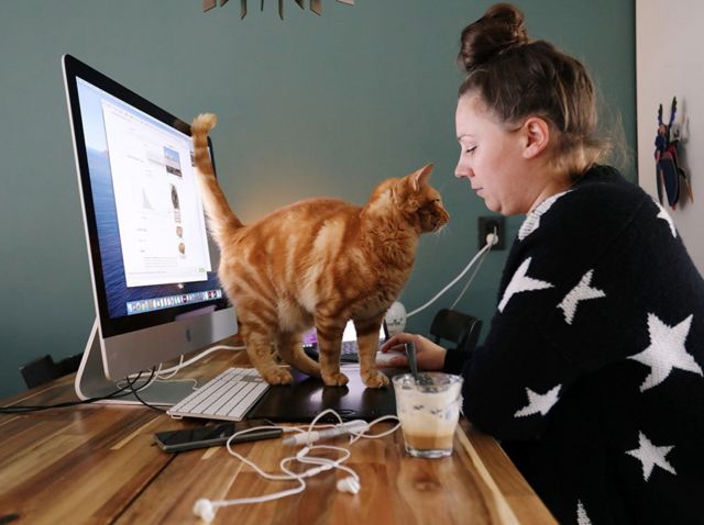 قطة تمشي على طاولة امرأة تعمل.