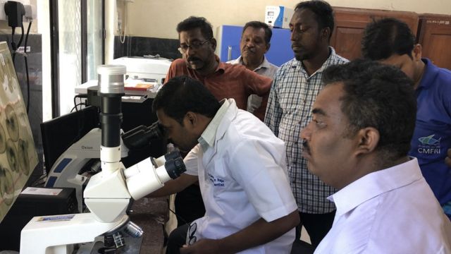 ஆராய்ச்சி