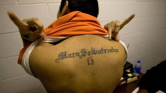 Cuál es el significado oculto en los tatuajes de la Mara Salvatrucha?  Las  autoridades se han dedicado a investigar el significado de los tatuajes de  diversas bandas criminales, como la Mara