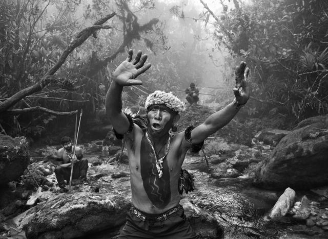 imagem da exposição "Amazônia" na Filarmônica de Paris
