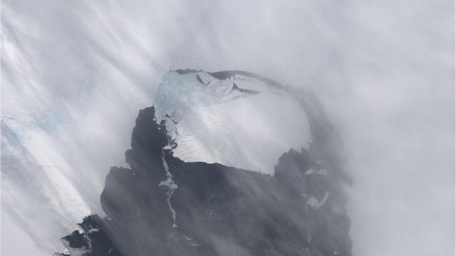 Pine Island Glacier (Şam ağacı adası buzlağı)