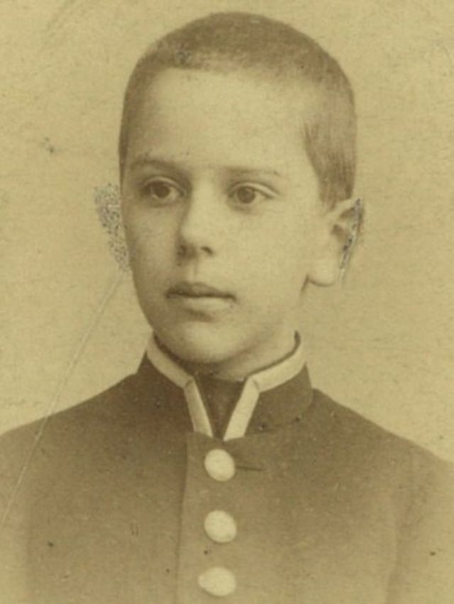 Александр Виленкин - ученик Царскосельской гимназии