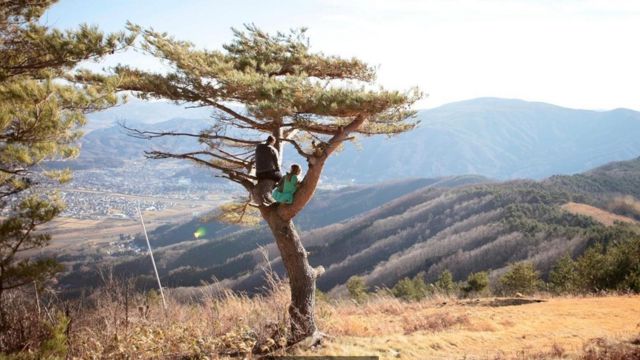 日本东北町 野生动植物的乐园 c 英伦网