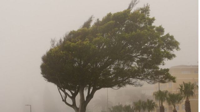 Ciclone extratropical: o que é o fenômeno que causa chuvas e ventania ...