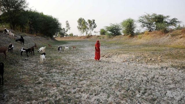 இந்தியா முழுவதும் வீசும் வெப்ப அலை: காரணம் என்ன?