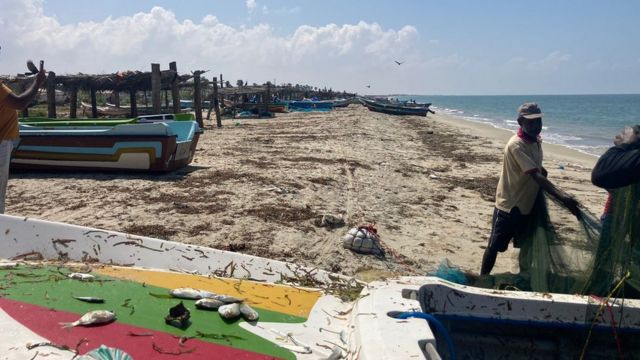 இலங்கைத் தமிழர்கள் வருகை தொடருமா? மன்னாரிலிருந்து கள ஆய்வு