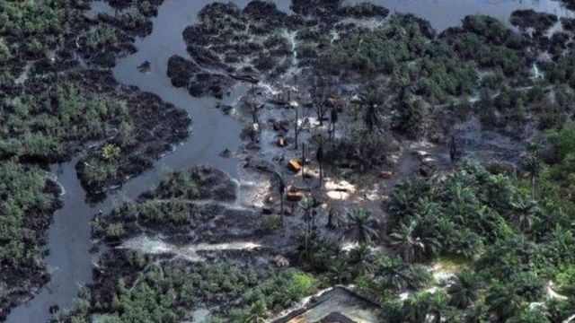 Yankin niger Delta