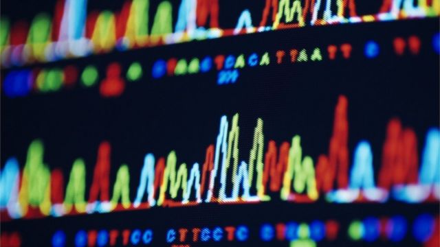 基因测序，电脑显示屏